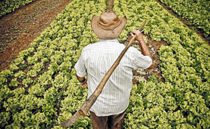 Tempo na roça vale aposentadoria